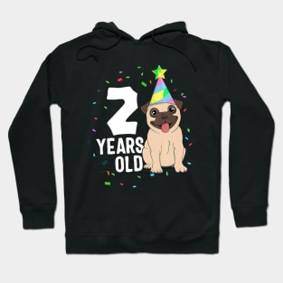 2 Years Old Birthday Pug Dog Lover Party 2Nd Birthday Kid Hoodie